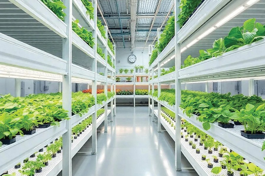 Sustainable approach to vertical farming flooring